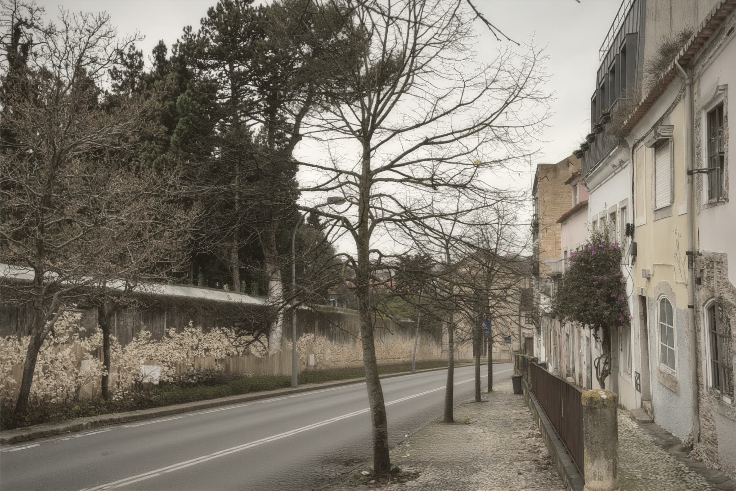 A still Lisbon road with bare trees, stone walls, and weathered cream buildings.